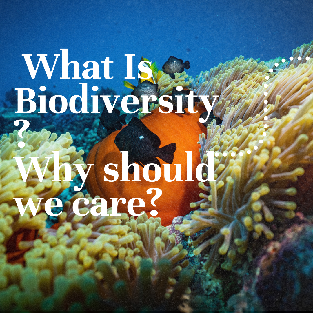 Biodiversity for a Living Ocean 