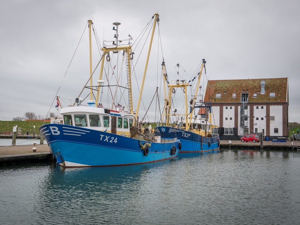 Dutch fishing fleet from the island of Texel starts collecting