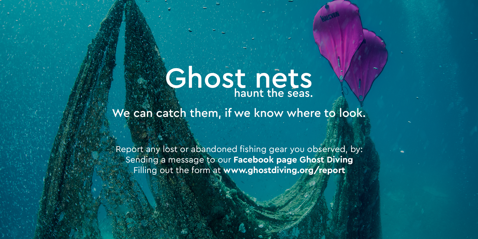 A New Campaign to Report Lost Fishing Gear - HEALTHY SEAS