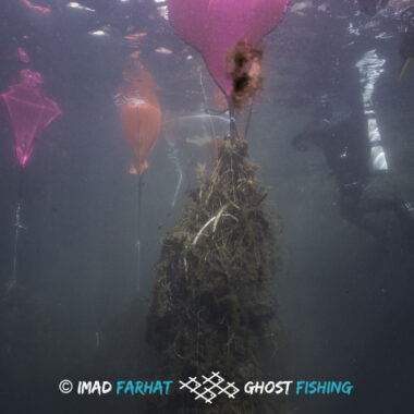 Aeolians_2019_underwater-11