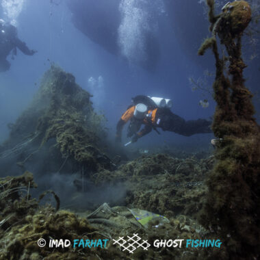Aeolians_2019_underwater-8