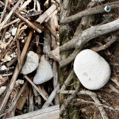 Artificial or Natural Walking along the beach, you might come across small white objects that look like smooth pebbles. During Operation Ghost Farms – Reclaiming Waters, we discovered that many of these “stones”