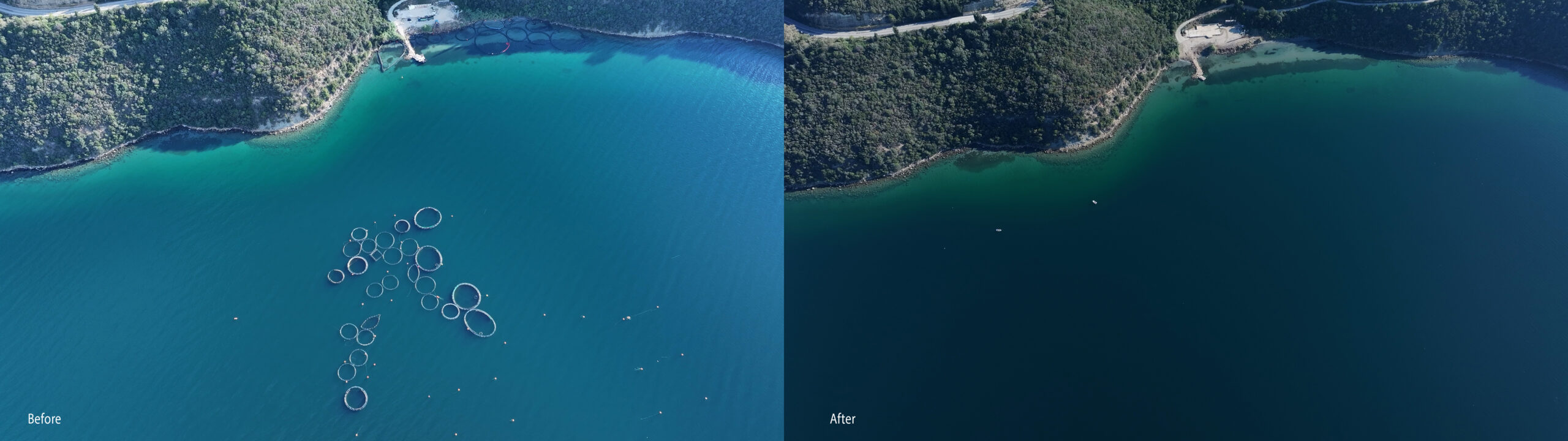 The Healthy Seas Foundation and Partners Collect 50 Containers of Marine Litter in Six Days in Final 2024 Operation Ghost Farms Clean-Up