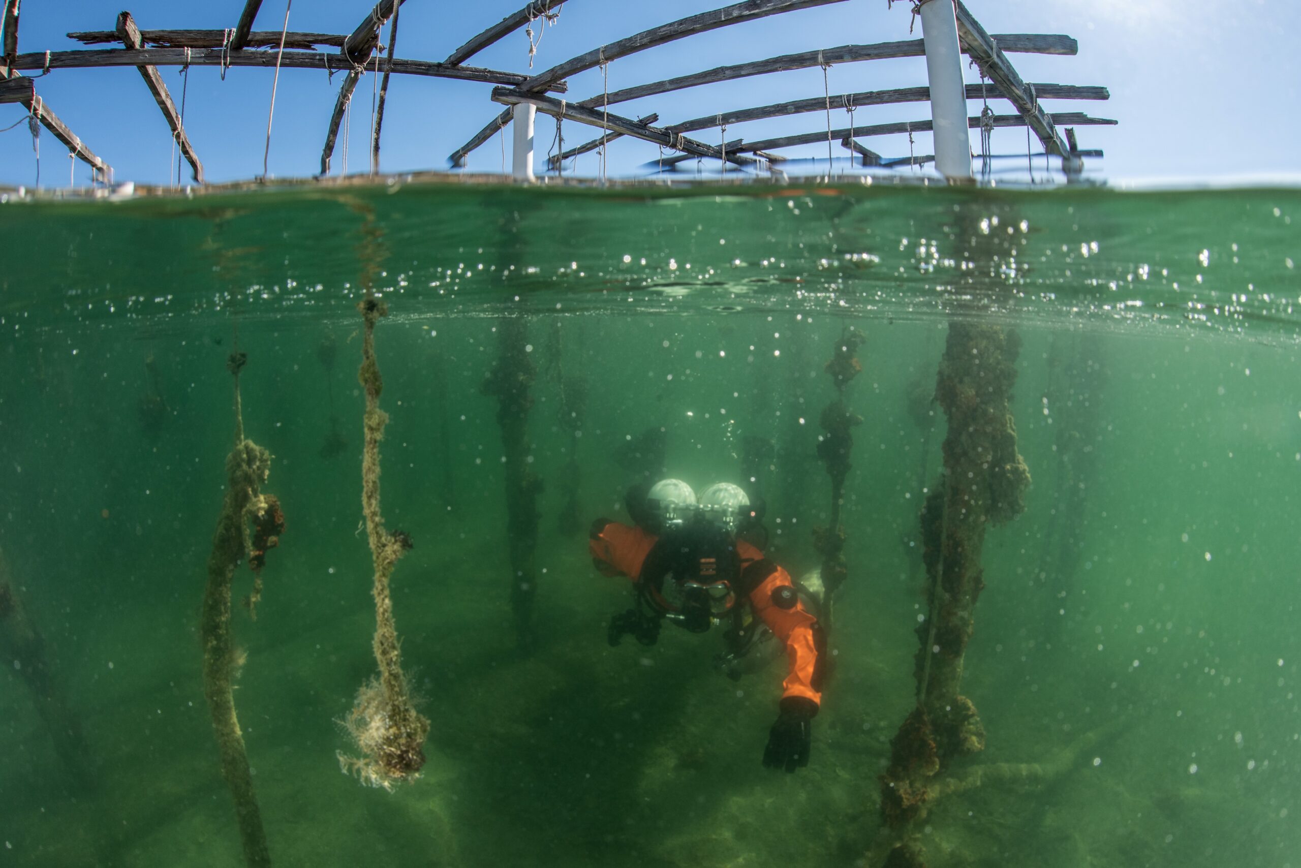 Healthy Seas removes 36.06 tons of marine litter from abandoned mussel farm in Salamina, Greece