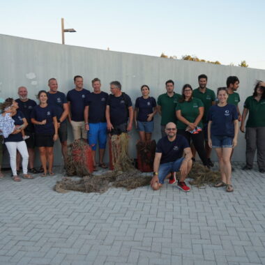 DSC02711-web-1160x773