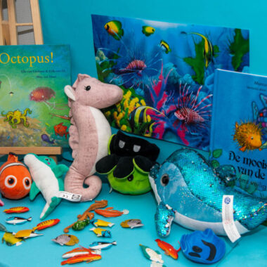 Healthy Seas Tools and fun activities