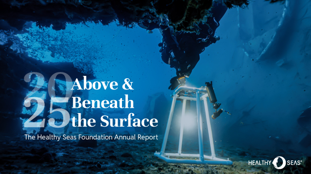 Looking Beneath the Surface: Inside Healthy Seas’ 2025 Annual Report