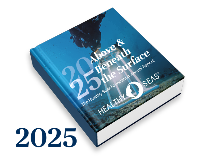 Read  and download the report