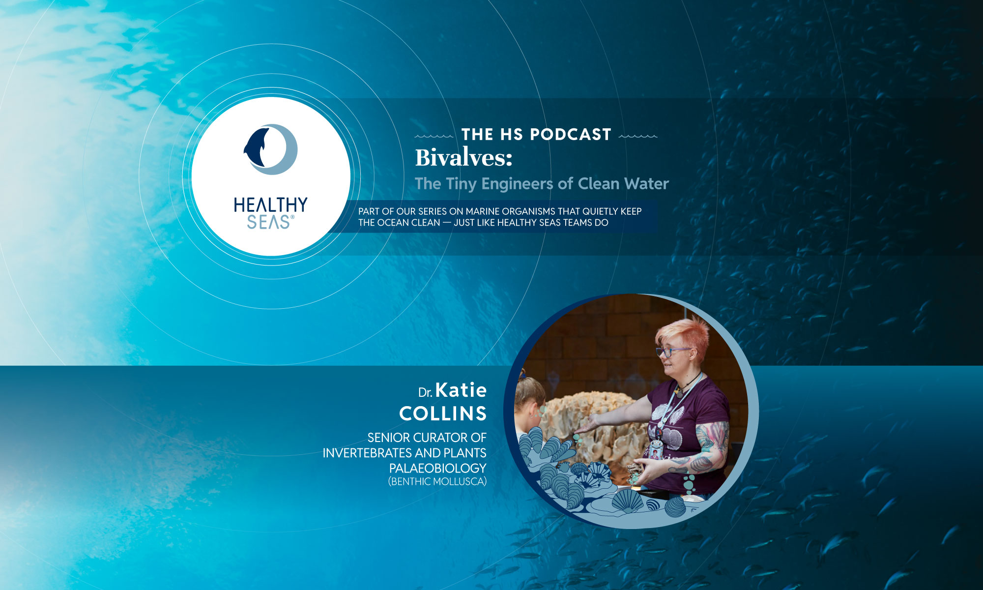 Bivalves: The Ocean’s Living Filters