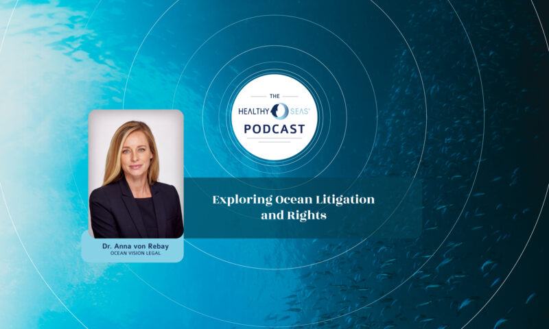 Exploring Ocean Litigation and Rights with Anna von Rebay from Ocean Vision Legal