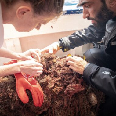 HealthySeas_10th_Years_Croatia_1st_Dive00097_Copyright_Carlino-Photo-1160x773