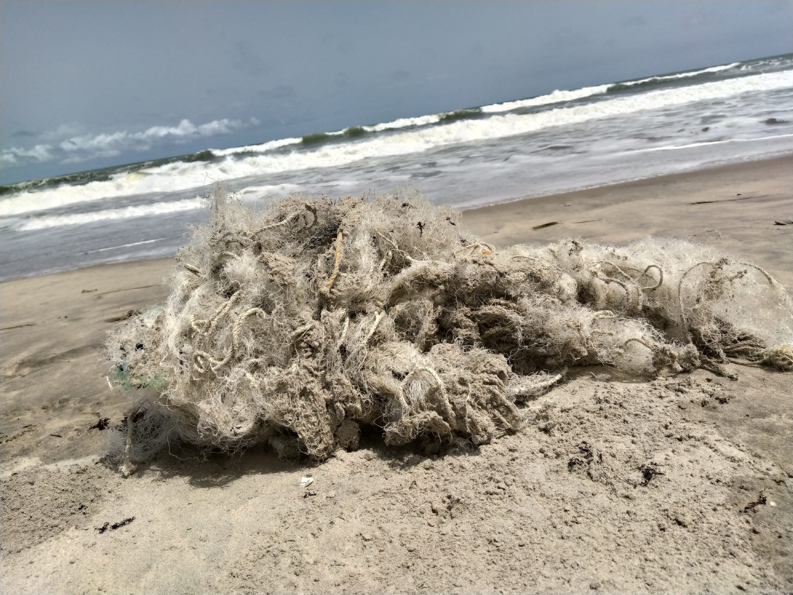 Healthy Seas and Chaint Afrique Join Forces Again 