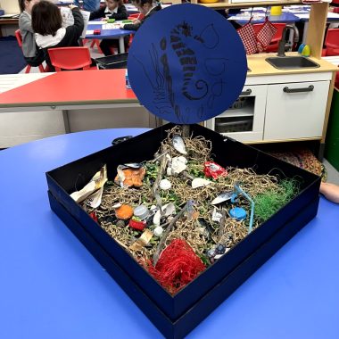 St. Catherine’s British School in Athens, Healthy Seas