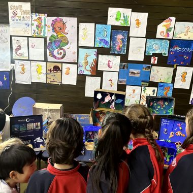 St. Catherine’s British School in Athens, Healthy Seas