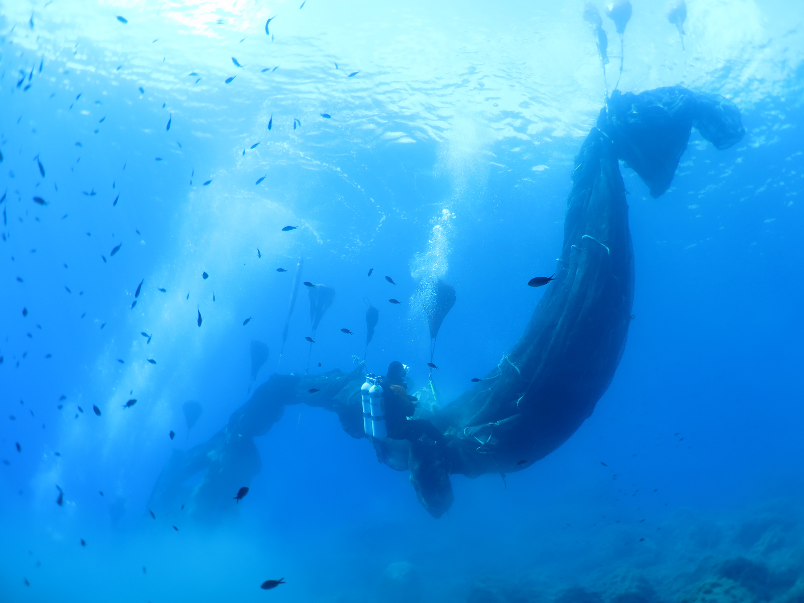 Monster ghost net recovered by divers off the coast of Aeolian Islands