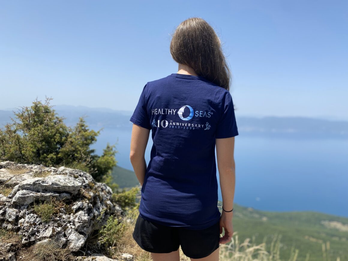 Welcome to the New Healthy Seas Website: 