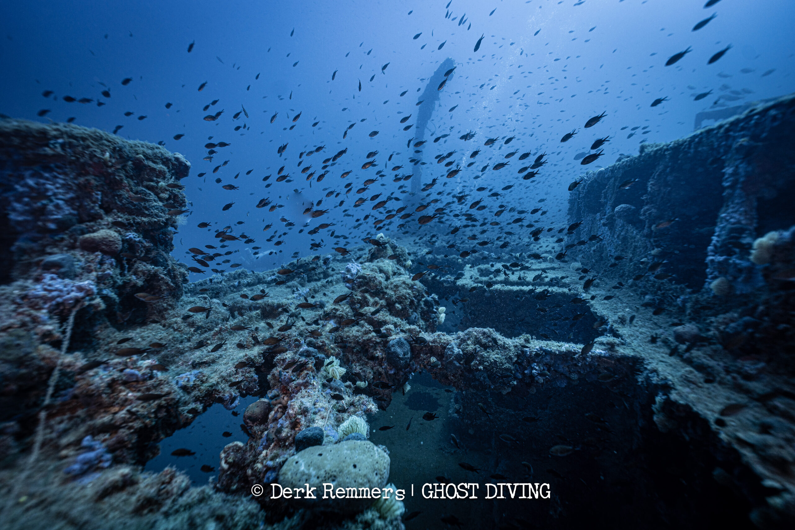 Why Shipwrecks Become Biodiversity Hotspots