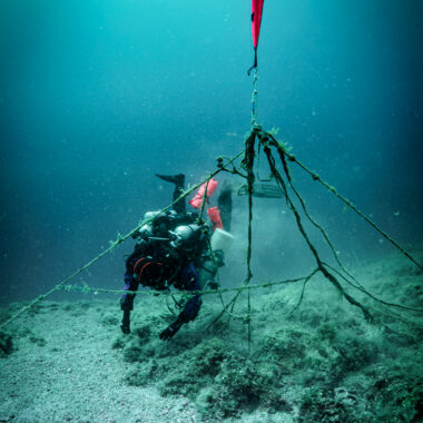MariuszCzajka_20260720_Andratic7_underwater_007