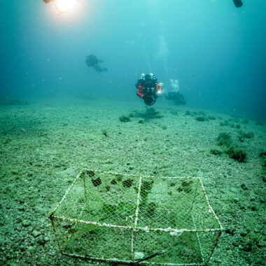 MariuszCzajka_20260720_Andratic7_underwater_013