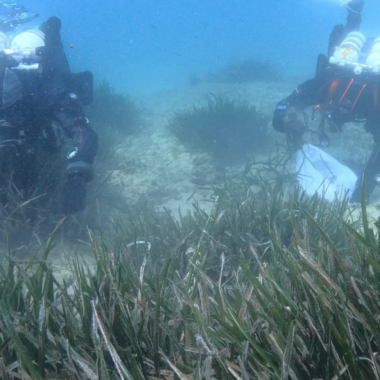 Muladera Replanting 2