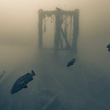 Photo-7_-Derk-Remmers-1-720x480