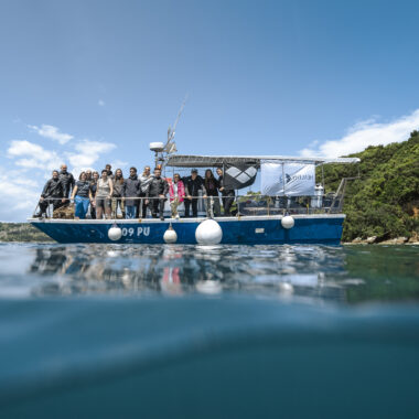 Stampa Healthy Seas (13 di 14)