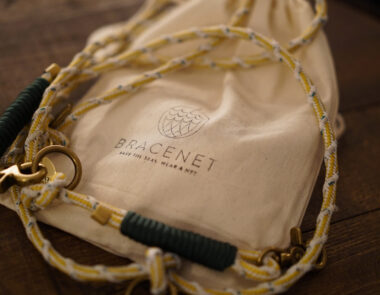 Bracenet gold