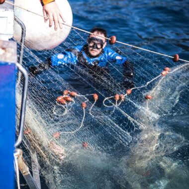 healthy-seas-divers-pulling-out-a-so-called-nylon-6-fishing-net-used-to-produce-econyl-yarn-from-the-adriatic-sea-in-croatia-1160x1740