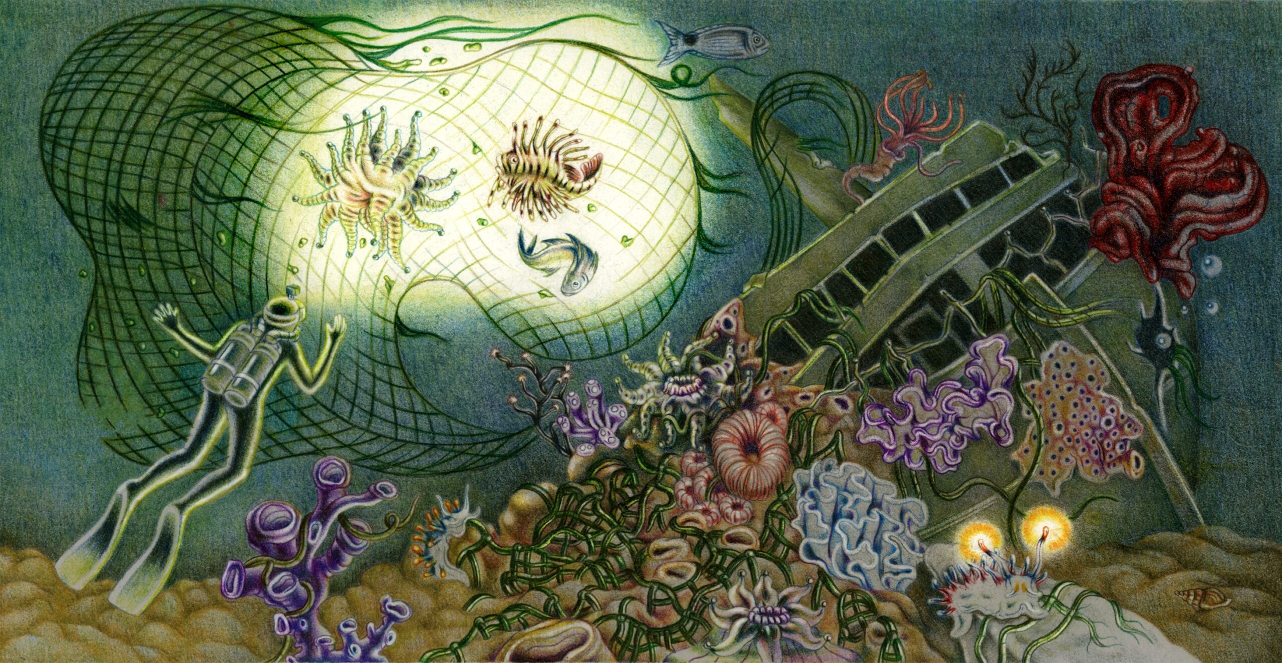 Biodiversity, Beneath the Surface